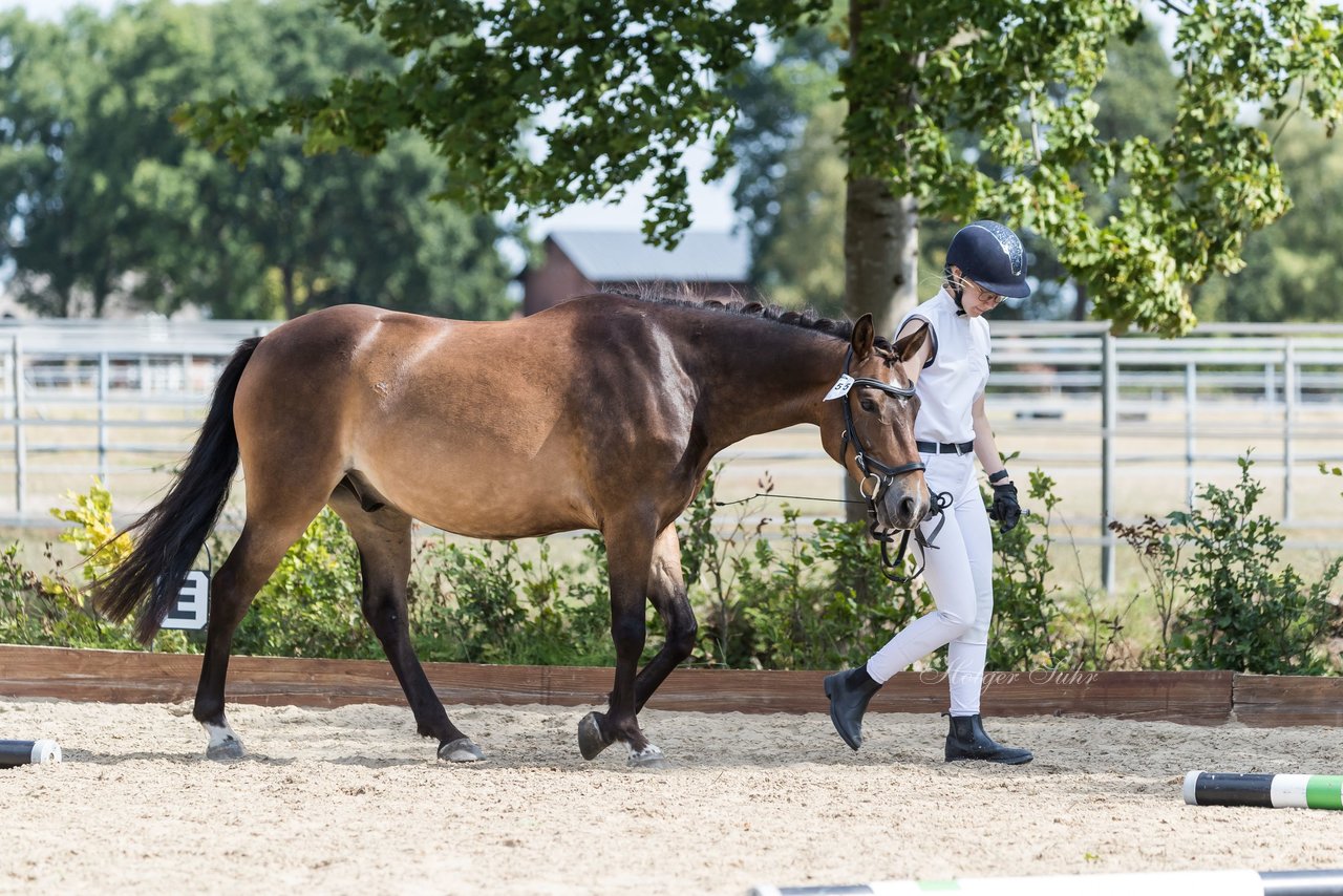 Bild 76 - Pony Akademie Turnier